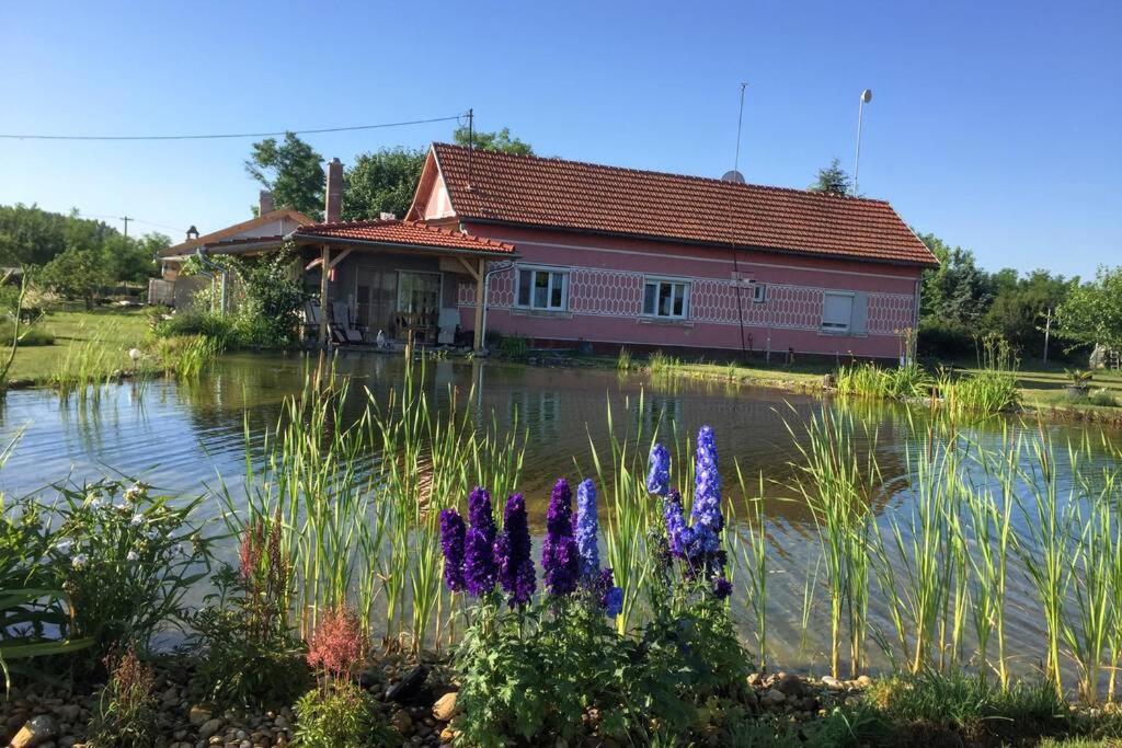 Tanya Anna Lägenhet Csengele Exteriör bild